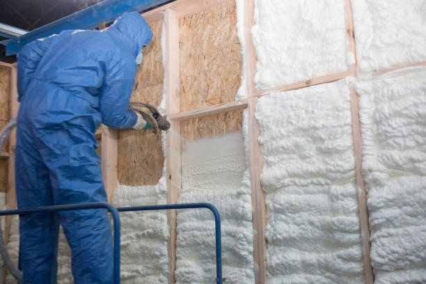 Best Insulation Air Sealing in Newcastle, OK